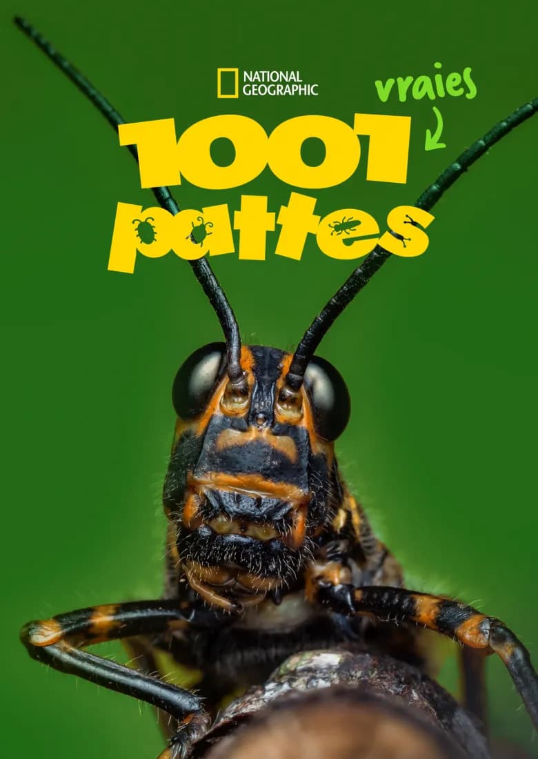 1001 vraies pattes - Disney+